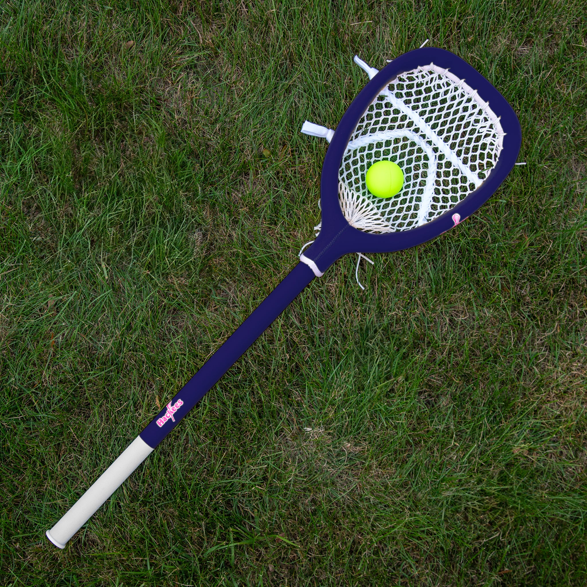 The Goalie Stick
