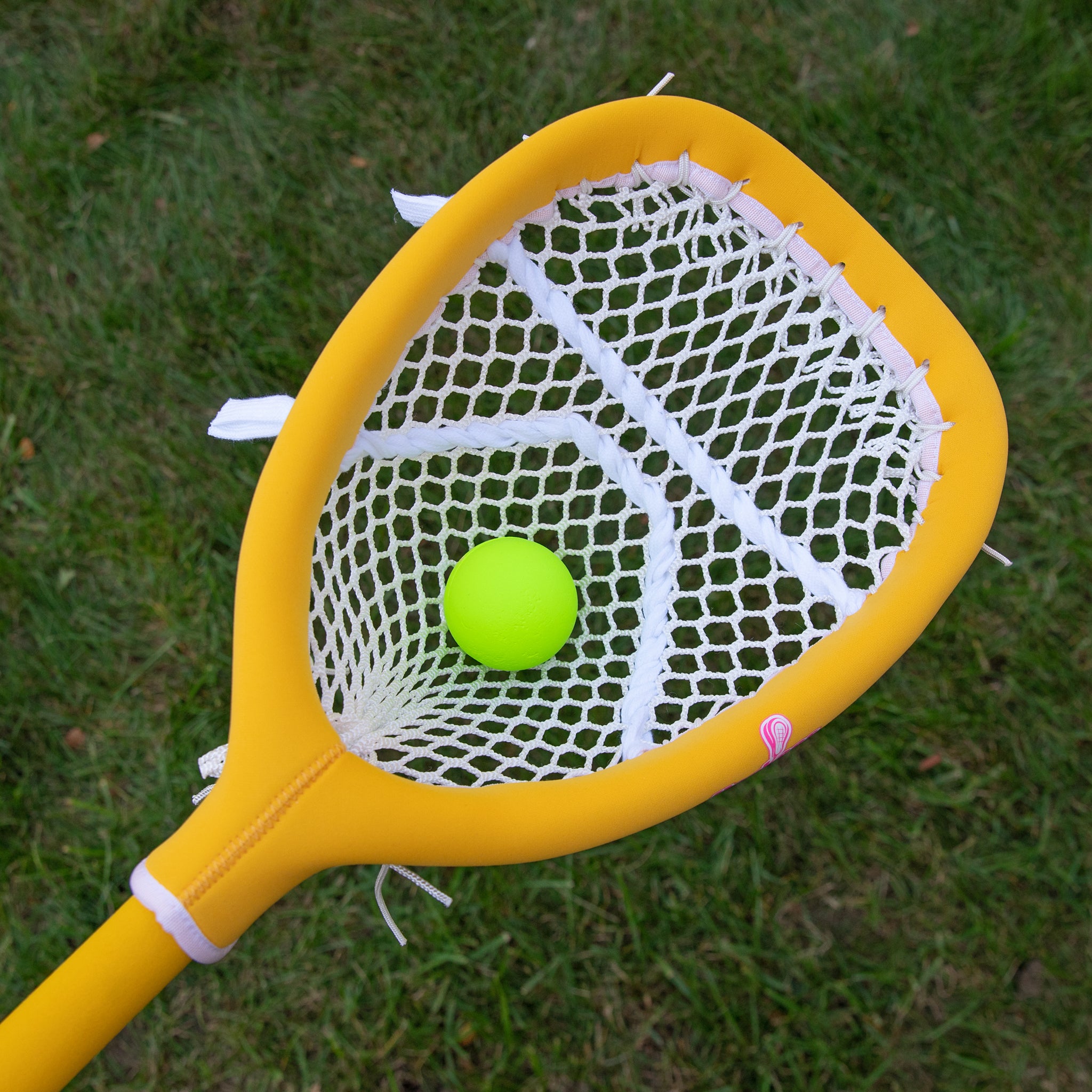 The Goalie Stick